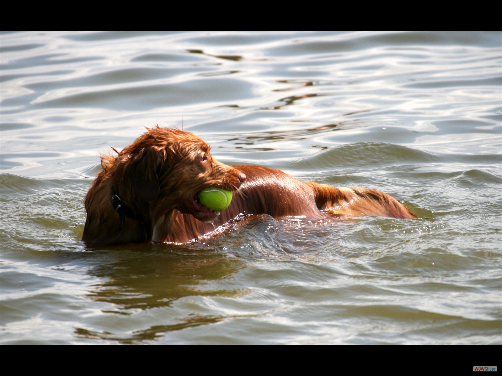 IMG_20120805_0546